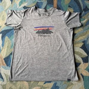 Patagonia Heather Gray Tee with Mountain Graphic